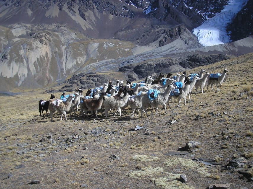 From La Paz: Condoriri Andes, Pico Austria Full Day Hiking - Should you book the Condoriri and Pico Austria day hike?