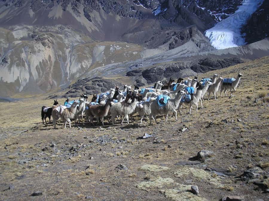 From La Paz: Condoriri Andes, Pico Austria Full Day Hiking - Where Aymara culture fits into the hike (and why you should pay attention)