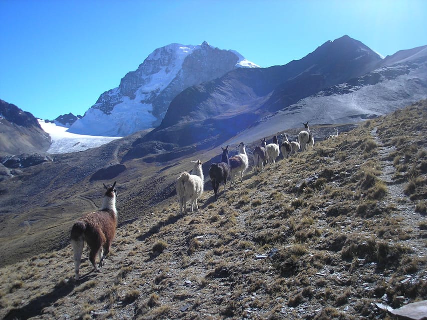 From La Paz: Condoriri Andes, Pico Austria Full Day Hiking - Price and value: what you’re really paying for at $140