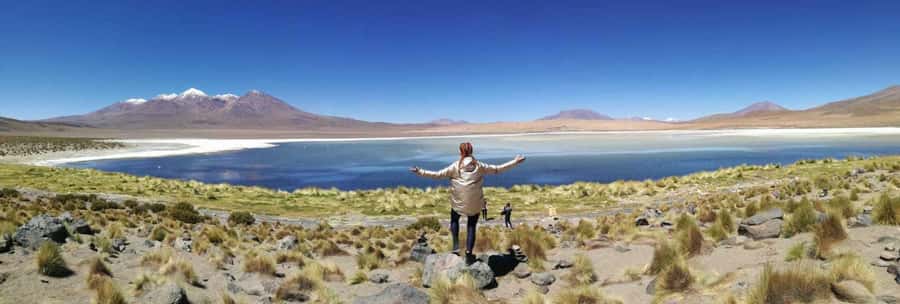 From La Paz: Tiwanaku and Lake Titicaca One-Day Tour - Should You Book This La Paz Tiwanaku and Lake Titicaca Tour?