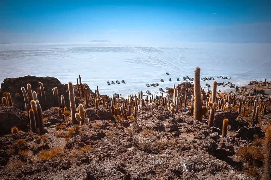 From La Paz: Uyuni and Andean Lagoons 5-Day Guided Trip - Key things that make this trip worth it