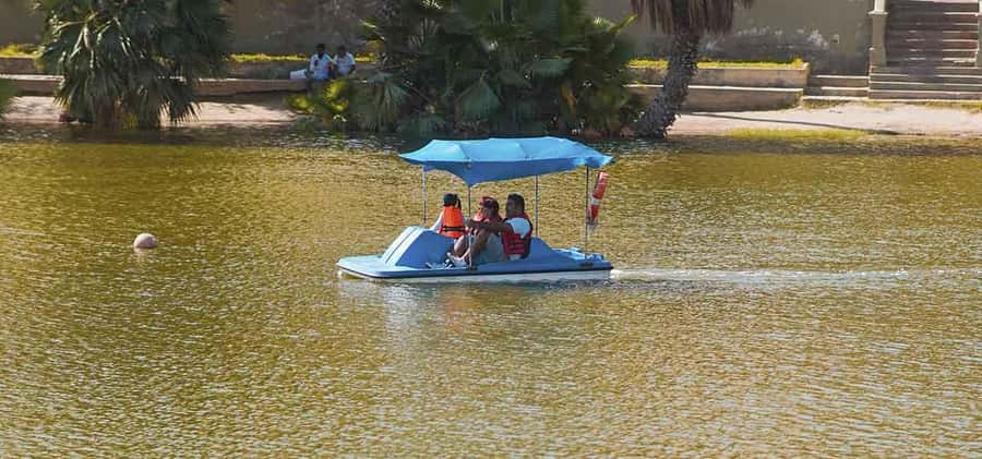 From Lima: Ballestas Islands and Huacachina Sunset Day Trip - Huacachina Arrival: Quick Oasis Time Before the Adventure