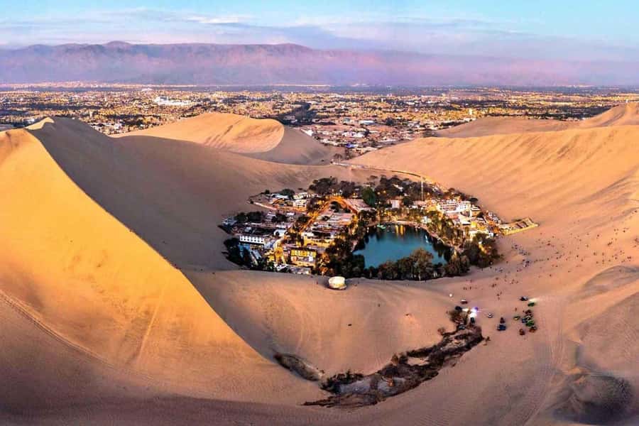 From Lima: Ballestas Islands, Huacachina and Wine Route Trip - Key Highlights That Make This Day Trip Worth It