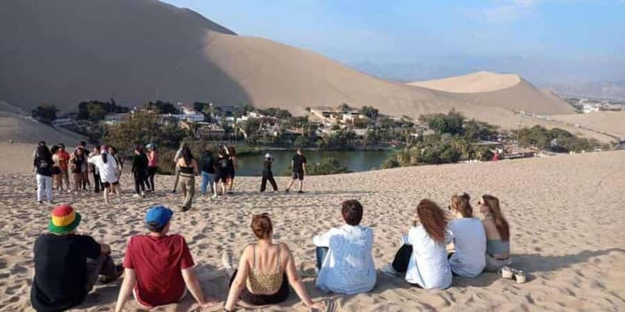 From Lima: Ballestas Islands, Huacachina and Wine Route Trip - The Ica Break: Lunch and Local Wine or Pisco
