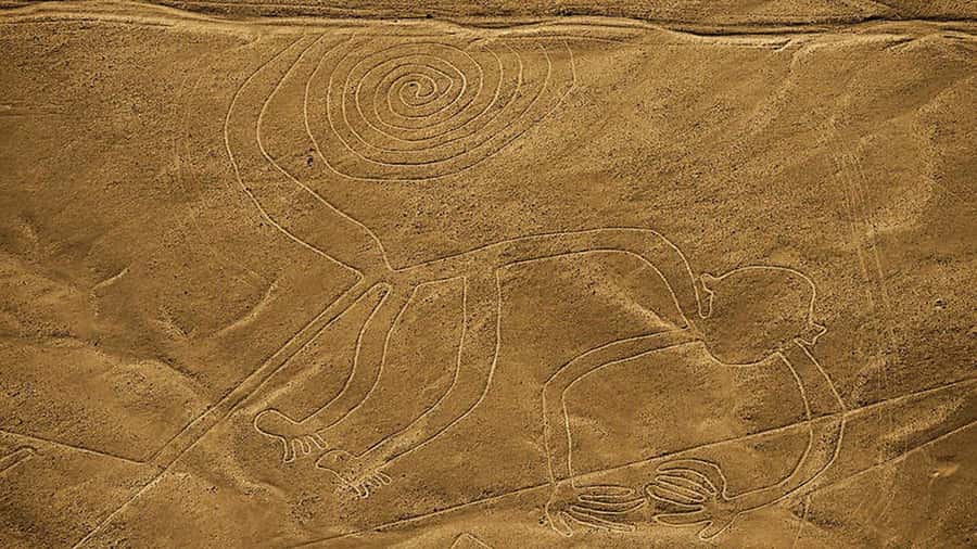 From Lima: Full day flight over in the Nazca Lines - In the air over Nazca: animals, geometry, and what you’ll actually see
