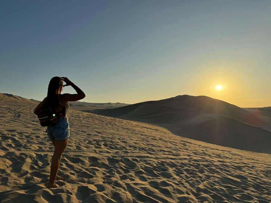 From Lima: Full Day Private All Inclusive Paracas, Ica. - Ballestas Islands by boat: wildlife plus the famous candelabra view