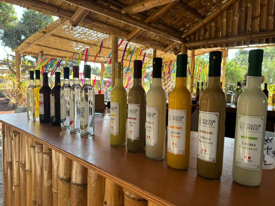 From Lima: Full Day Private All Inclusive Paracas, Ica. - Ica at CulturPisco: lunch, pisco tasting, and a guide who explains the process