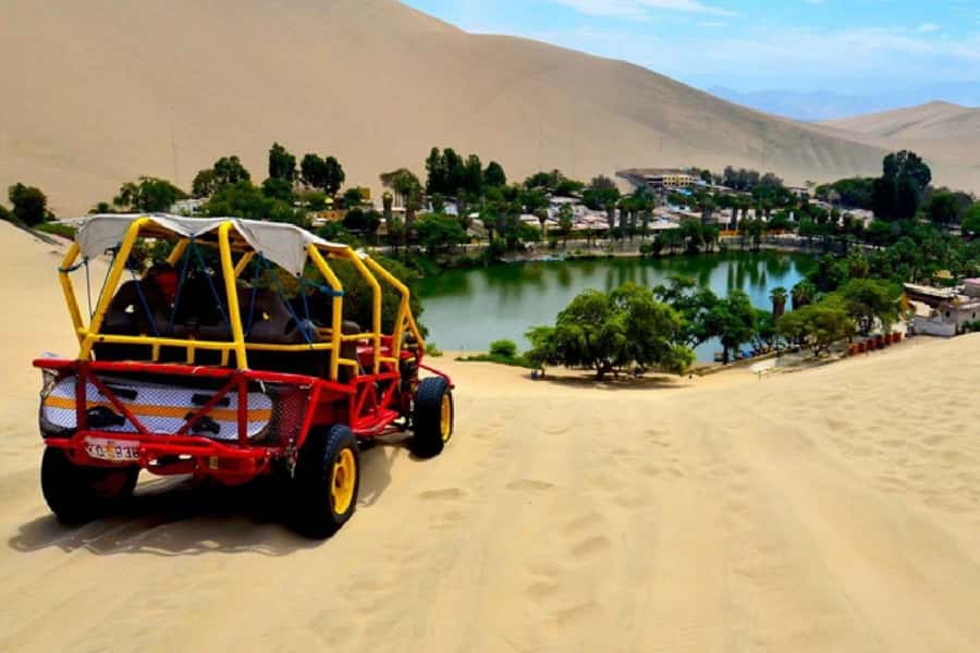 From Lima: Full Day Tour (Paracas + Huacachina) - Ica winery tasting: wines, pisco, pisco creams, and macerates