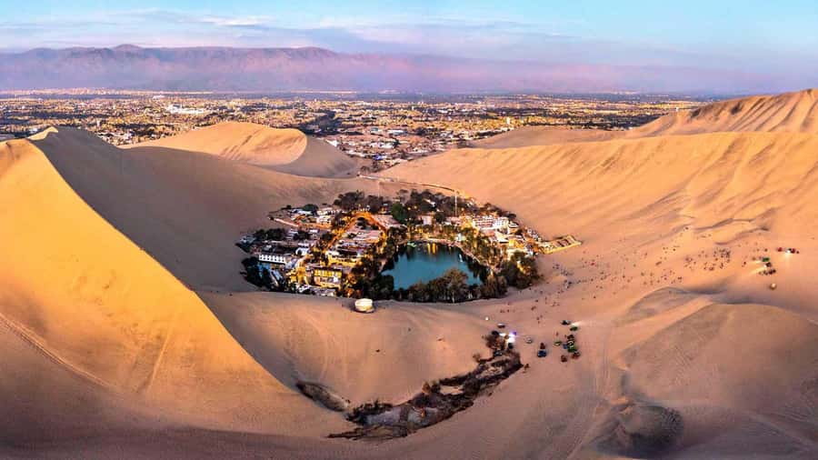 From Lima: Full Day Tour (Paracas + Huacachina) - Paracas on land: chocoteja, local sweets, and a short walk break
