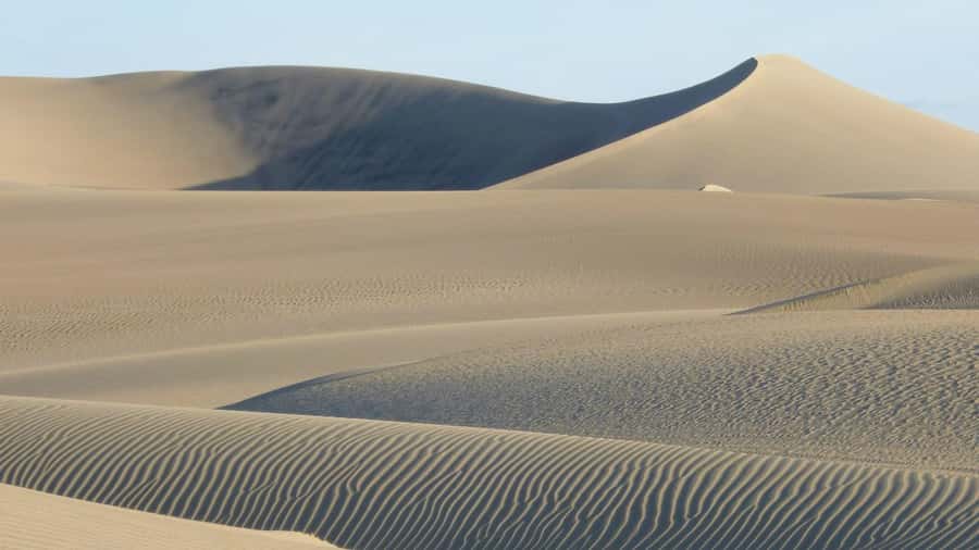 From Lima: Huacachina Oasis & Ballestas Island - ENGL / ESPA - Who This Trip Suits Best (and Who Should Think Twice)