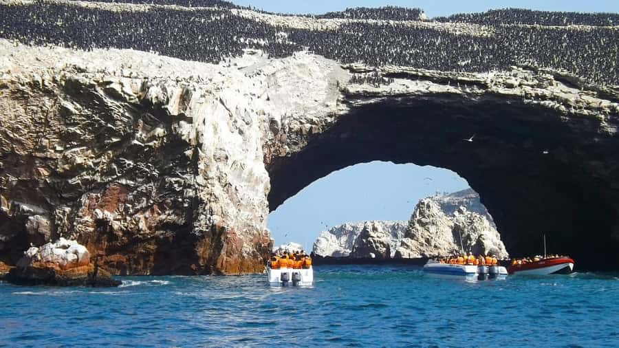 From Lima: Huacachina Oasis & Ballestas Island - ENGL / ESPA - Ballestas Islands by Boat: Sea Lions and Penguins Up Close