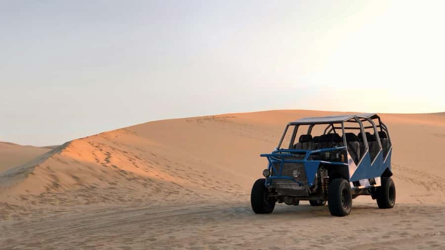 From Lima: Huacachina Oasis & Ballestas Island - ENGL / ESPA - Paracas to Lunch: How the Winery Meal and Pisco Tasting Pay Off