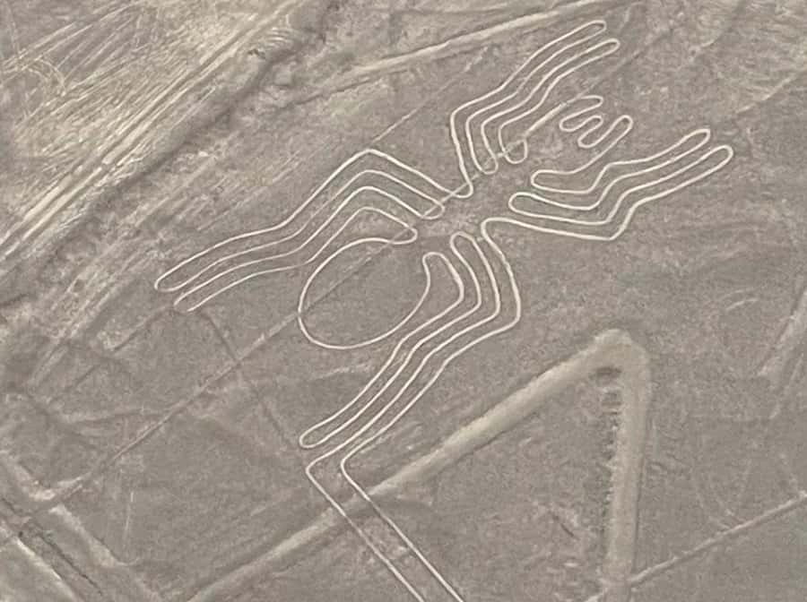 From Lima: Nazca Lines Flight with Huacachina Oasis Tour - Nazca City From the Ground to the Window Seat