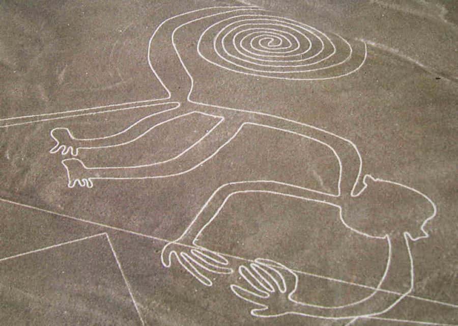 From Lima: Nazca Lines Flight with Huacachina Oasis Tour - Dune Buggy Ride Across Ica Dunes: Fun With Smart Safety Choices