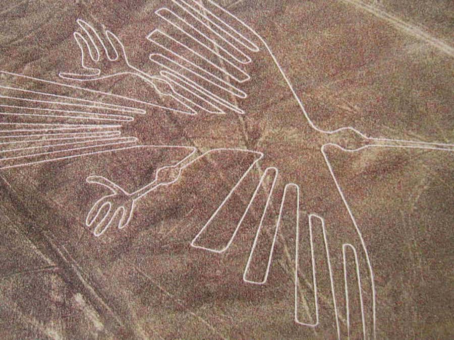 From Lima: Nazca Lines Flight with Huacachina Oasis Tour - What You Actually Get for $480: Value Breakdown