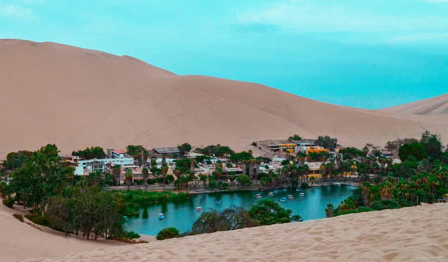 From Lima: Paracas and Huacachina Day Trip with Buggy Ride - Price and value: is $100 per person worth it?
