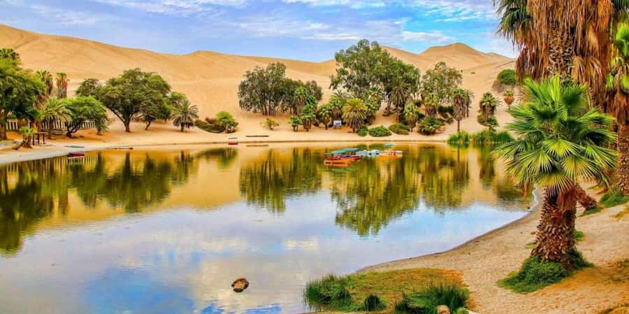 From Lima: Paracas and Huacachina Guided Desert Oasis Trip - Who this day trip fits best (and who might want to skip it)