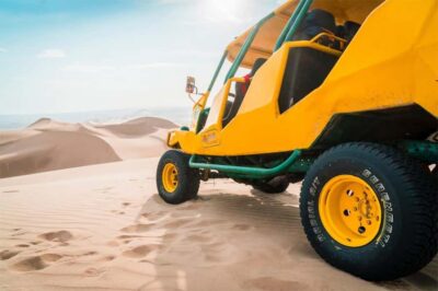 From Lima: Paracas and Huacachina Oasis Full Day Guided Tour - Ballestas Islands: sea lions, birds, and the best boat-seat strategy