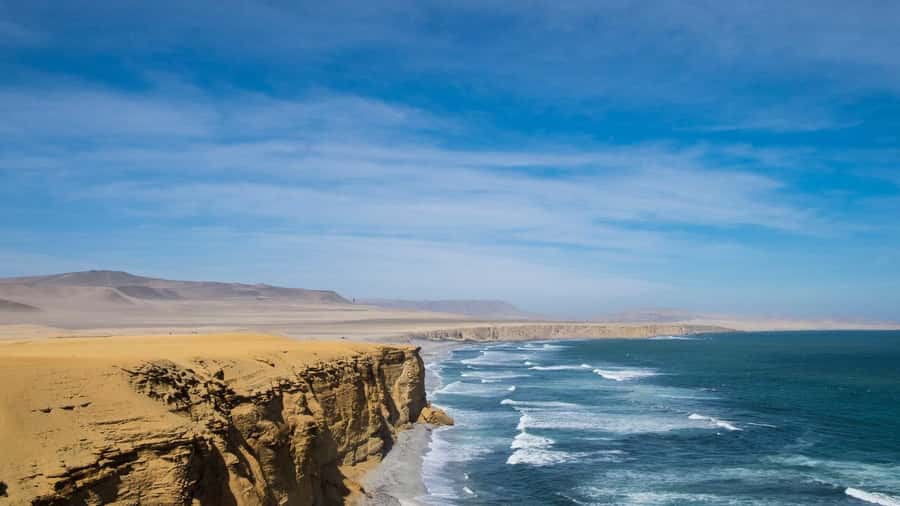 From Lima: Paracas and Huacachina Oasis Full Day Tour - A long day with two Peru classics: Paracas wildlife and Huacachina dunes