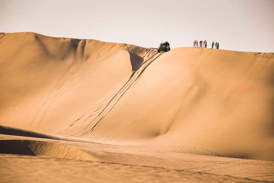 From Lima: Paracas and Huacachina Oasis Full Day Tour - Price and value: is $65 a smart use of your time?