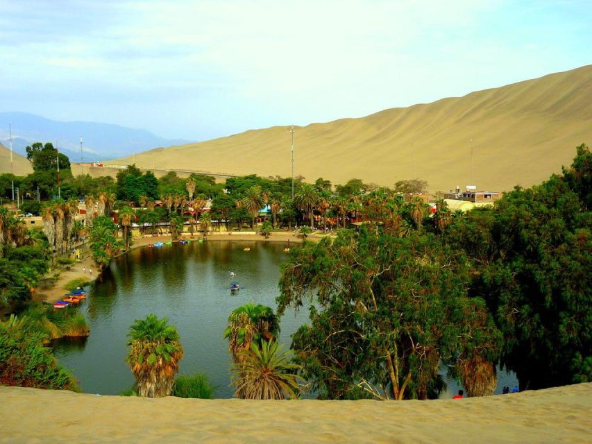 From Lima:Paracas Ballestas Islands and Ica Oasis 1 day Tour - My verdict: Should you book this Lima to Paracas–Ica day trip?