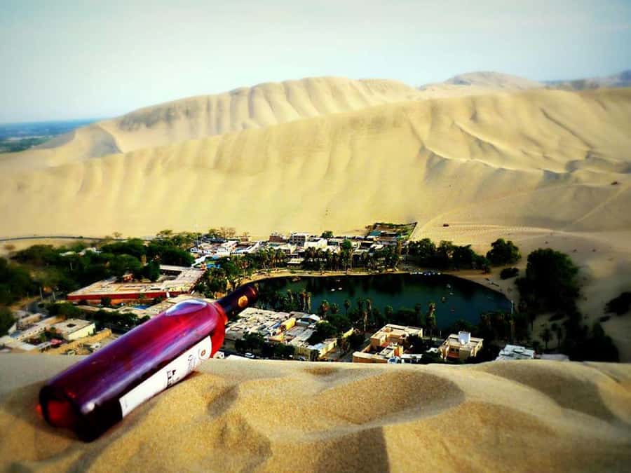 From Lima:Paracas Ballestas Islands and Ica Oasis 1 day Tour - On the Road to Paracas: Shared Bus Time and How to Use It