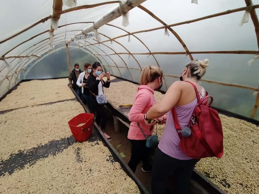From Medellin: Private Envigado Coffee Tour with Tastings - Medellin to Envigado: why this coffee tour feels different