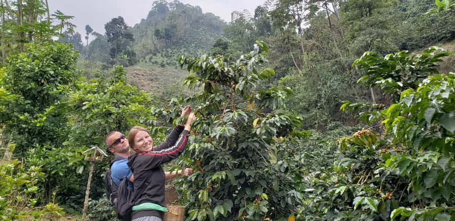 From Medellin: Private Envigado Coffee Tour with Tastings - Morning pickup and the mountain drive with coffee context