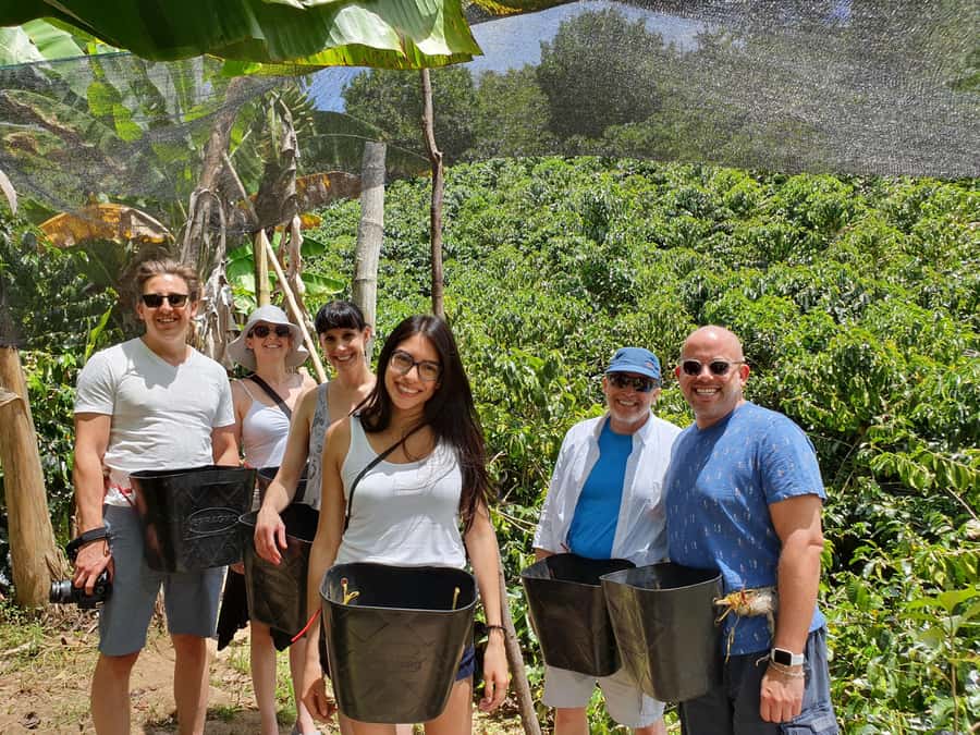From Medellin: Private Envigado Coffee Tour with Tastings - Meet Fabian: where expertise meets a fun, human approach