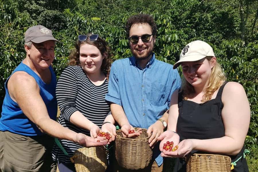 From Medellin: Private Envigado Coffee Tour with Tastings - Price and value: is $98 for four hours worth it?