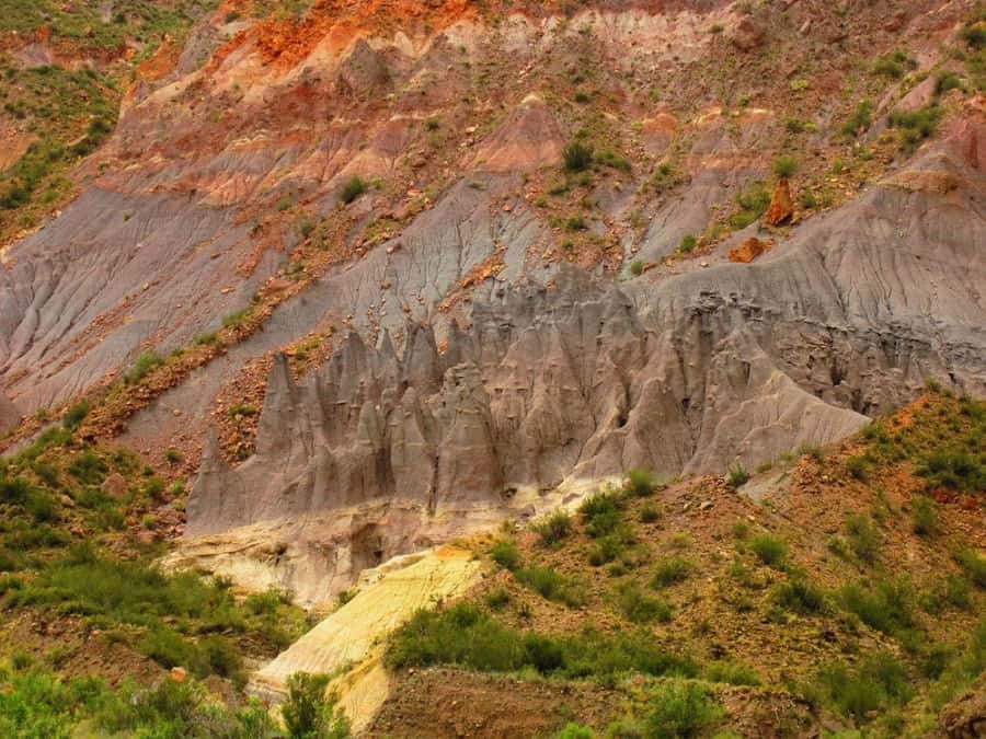 From Mendoza: A Trip Across the Mountain to Atuel Canyon - Price and Value: Paying $107 for a 10-Hour Route