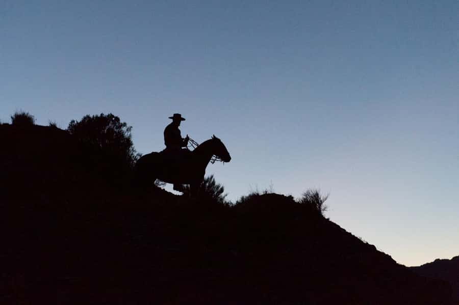 From Mendoza: Sunset Horseback Ride and Asado in the Andes - Price and Value: Is $159 a Good Deal Here?