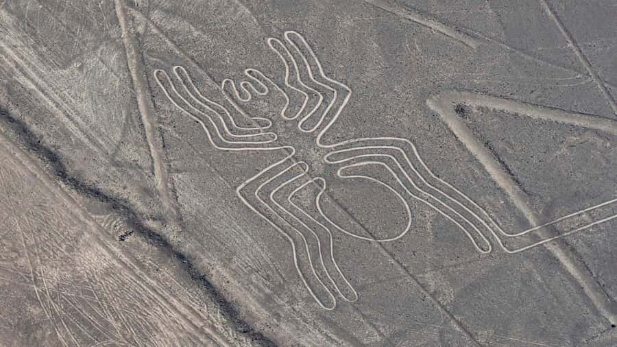 From Nazca: Flight in a light aircraft over the Nazca Lines - Key highlights to know before you go