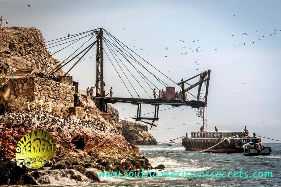 From Paracas: Ballestas Islands tour all Inclusive - Key things I’d watch for on this Ballestas tour