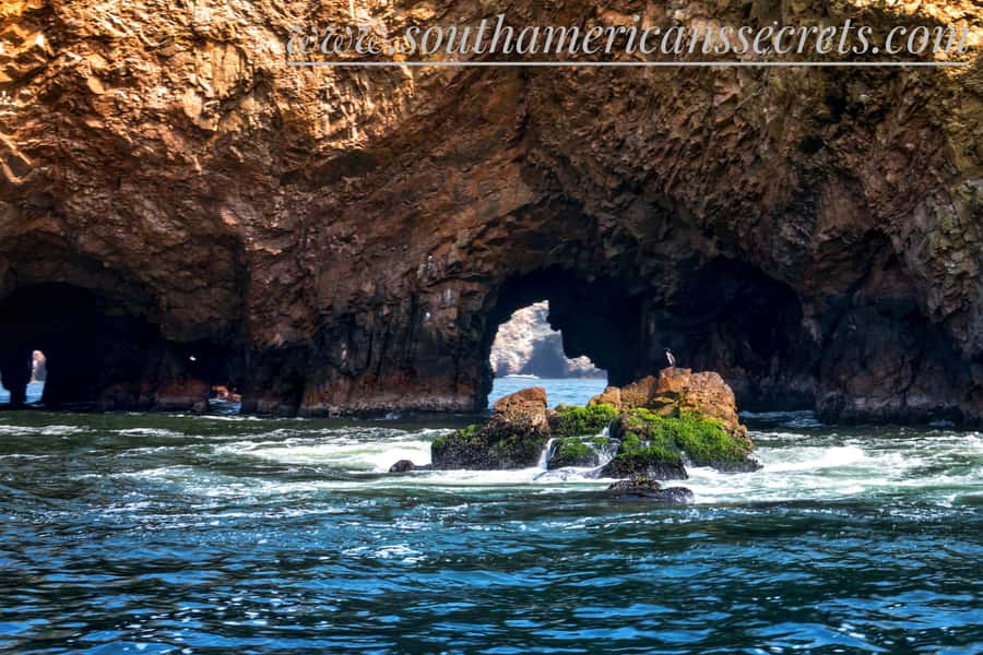 From Paracas: Ballestas Islands tour all Inclusive - Pickup to Marina Turística: get moving fast (and on time)