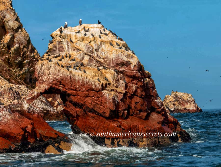 From Paracas: Ballestas Islands tour all Inclusive - Candelabro de Paracas stop: the Chandelier/Cactus before the wildlife