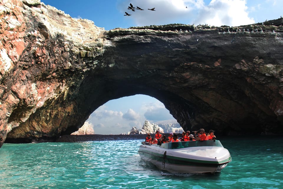 From Paracas: Guided boat tour of the Ballestas Islands - The money picture: $27 plus the Ballestas entrance fee