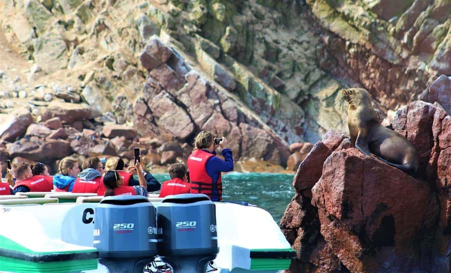 From Paracas: Guided boat tour of the Ballestas Islands - Who this tour fits best (and who might want another option)