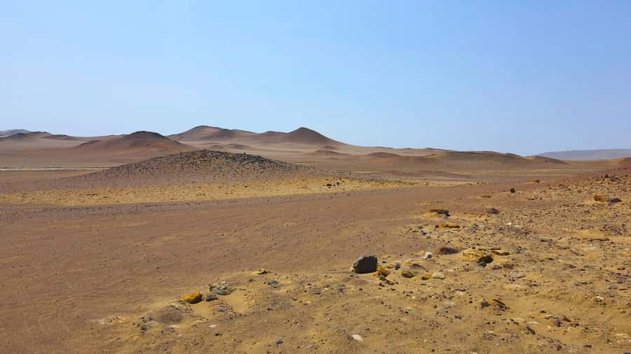 From Paracas: Paracas National Reserve Private Tour - Key reasons this Paracas tour earns its top marks
