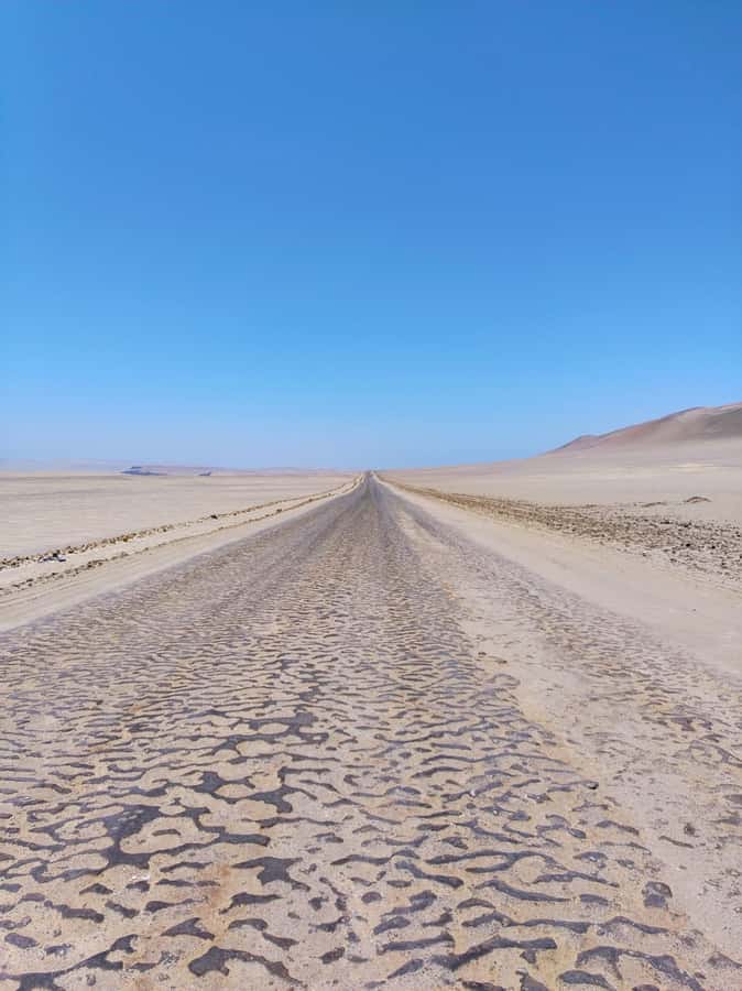 From Paracas: Paracas National Reserve Private Tour - Time, pace, and what to pack for the 3-hour route
