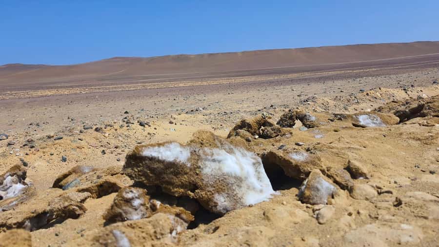 From Paracas: Paracas National Reserve Private Tour - Paracas National Reserve: Desert, Rocks, Sea Lions, and a Bird Show