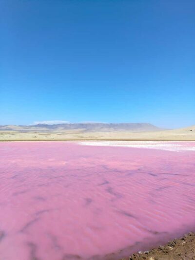 From Paracas: Paracas National Reserve Private Tour - Price and value: Is $48 a fair deal?