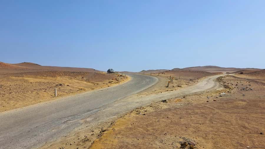 From Paracas: Paracas National Reserve Private Tour - Stop 1: Arrival and the reserve visitor center (learn first, look smarter)