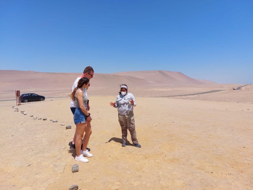 From Paracas: Paracas National Reserve Private Tour - Wildlife focus: Sea lions and thousands of migratory birds