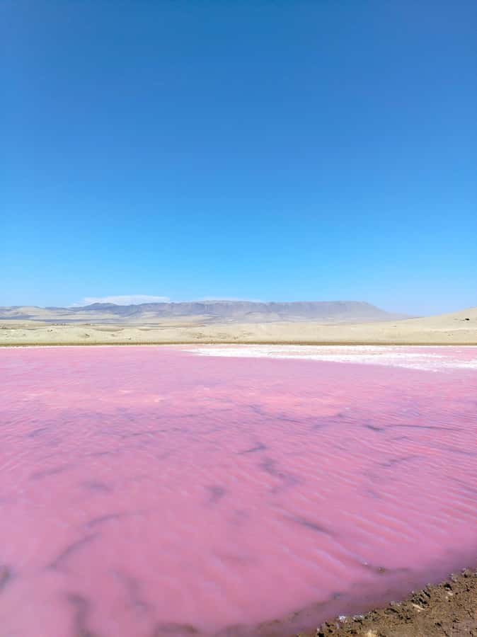 From Paracas: Paracas National Reserve Private Tour - Price and value: Is $48 a fair deal?