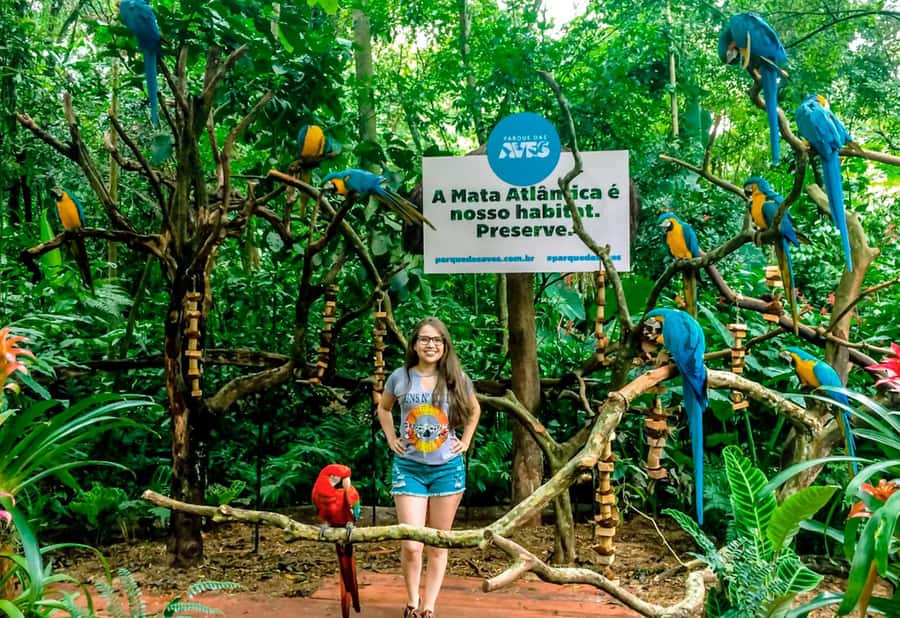 From Puerto Iguazú: Brazilian Bird Park Tour with Tickets - Optional Backstage Access: When the Park Shows Its Work