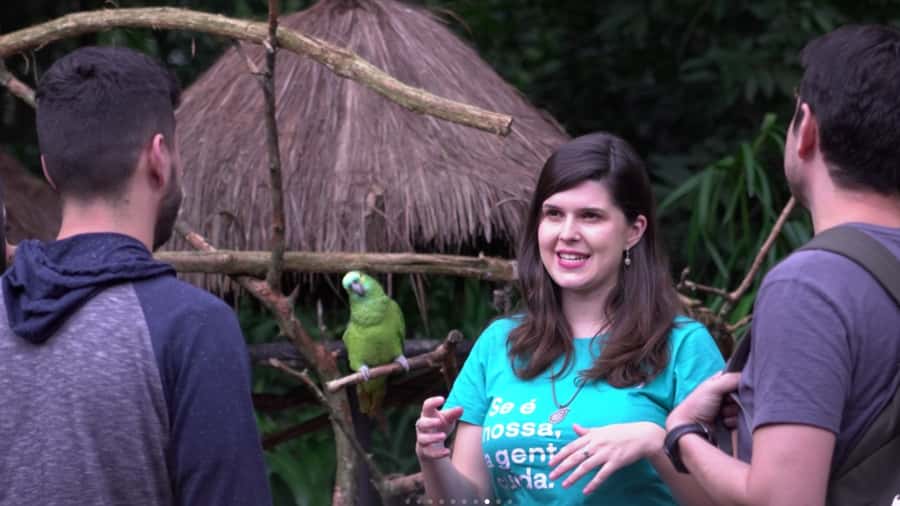 From Puerto Iguazú: Brazilian Bird Park Tour with Tickets - Price and Timing: Is $133 Worth It?