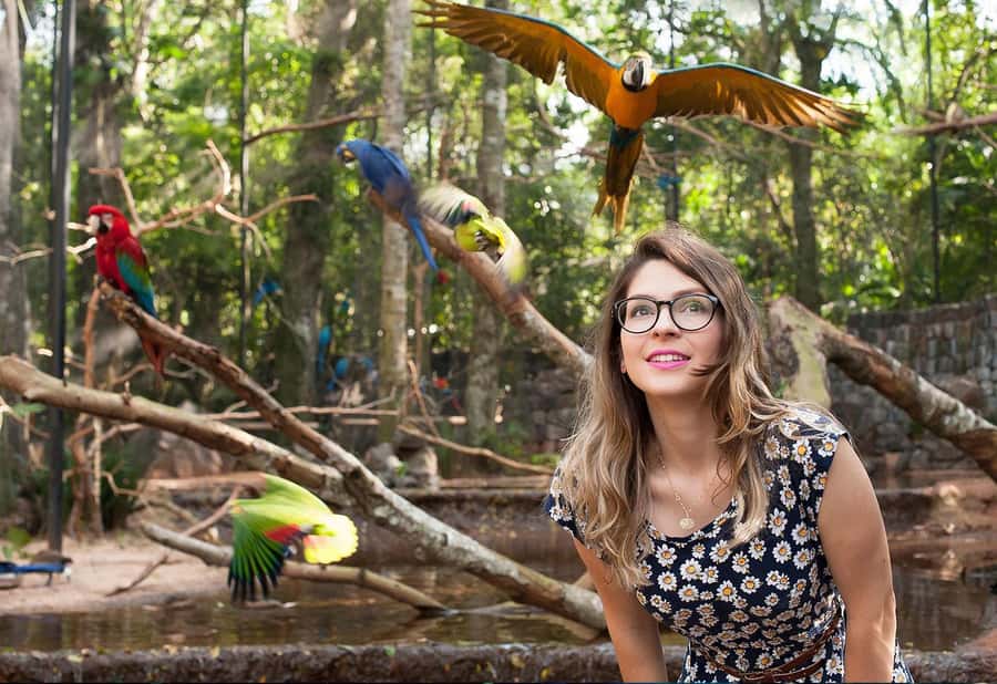 From Puerto Iguazú: Brazilian Bird Park Tour with Tickets - Should You Book This Brazilian Bird Tour?
