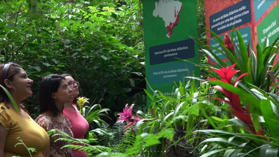 From Puerto Iguazú: Brazilian Bird Park Tour with Tickets - From Puerto Iguazú to the Park: Simple Logistics With Border Reality