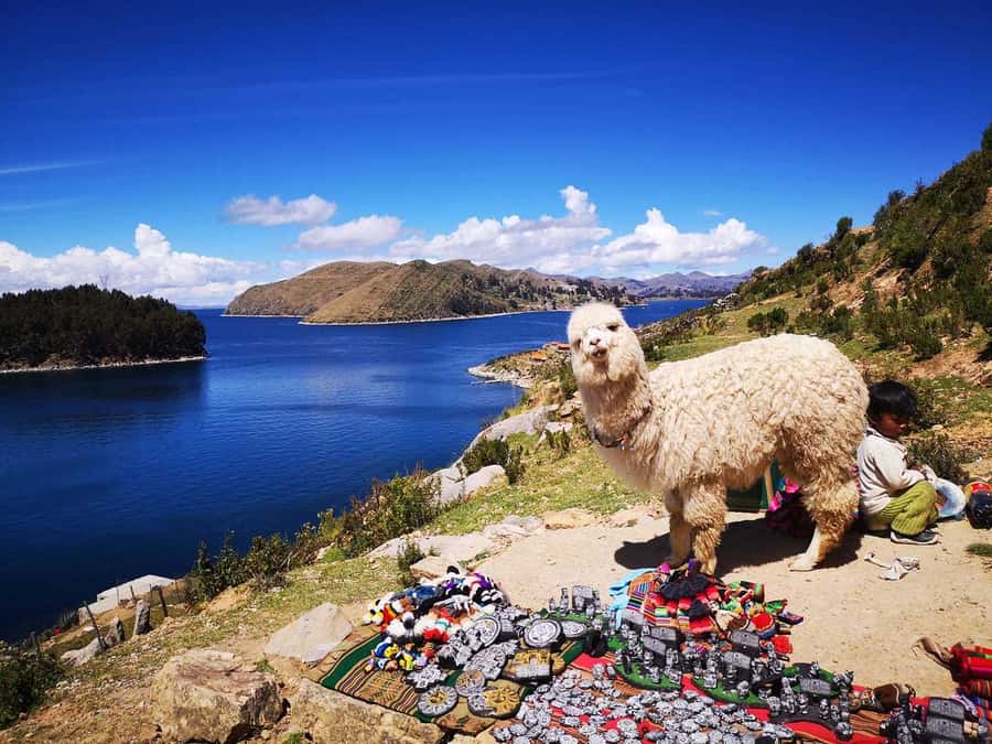 From Puno: Sun Island and Copacabana 1-Day Tour - Puno To Copacabana: The Day Begins With Paperwork And Purpose